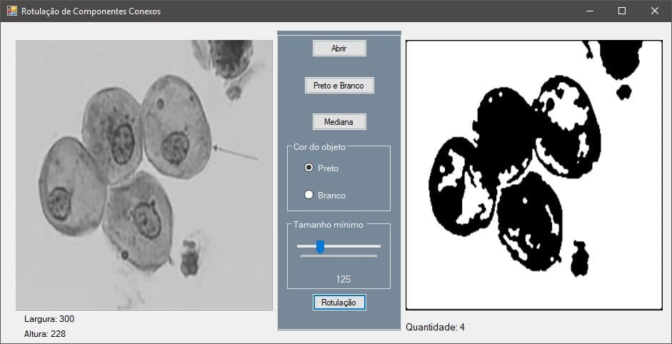 Connected Components Labeling
